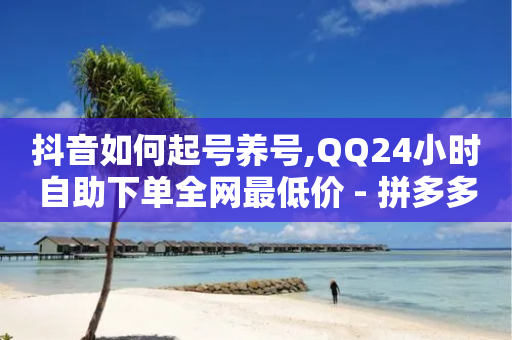 抖音如何起号养号,QQ24小时自助下单全网最低价 - 拼多多如何卖助力 - 拼多多助力太难了怎么办-第1张图片-靖非智能科技传媒