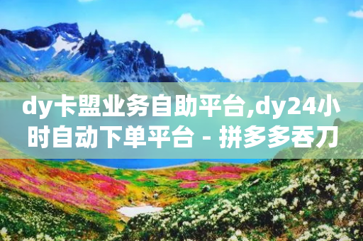 dy卡盟业务自助平台,dy24小时自动下单平台 - 拼多多吞刀机制 - 拼多多卡盟助力