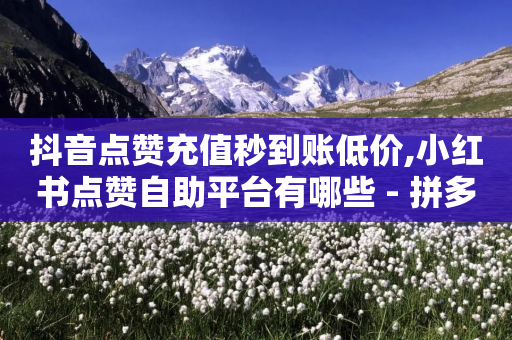 抖音点赞充值秒到账低价,小红书点赞自助平台有哪些 - 拼多多新用户助力神器 - 拼多多助力60元要多少人参与