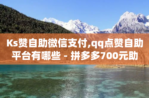 Ks赞自助微信支付,qq点赞自助平台有哪些 - 拼多多700元助力需要多少人 - 拼多多账号去哪里买-第1张图片-靖非智能科技传媒