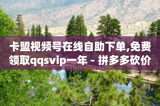 卡盟视频号在线自助下单,免费领取qqsvip一年 - 拼多多砍价助力助手 - pdd助力购买低价-第1张图片-靖非智能科技传媒