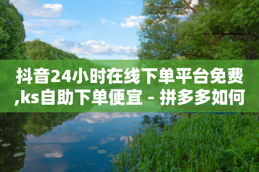 抖音24小时在线下单平台免费,ks自助下单便宜 - 拼多多如何买助力 - 拼多多砍价出现元宝怎么回事-第1张图片-靖非智能科技传媒