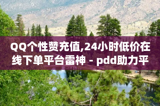 QQ个性赞充值,24小时低价在线下单平台雷神 - pdd助力平台 - 拼多多stp营销战略分析