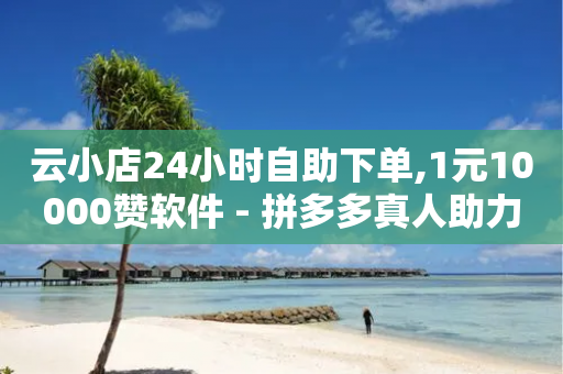 云小店24小时自助下单,1元10000赞软件 - 拼多多真人助力 - 拼多多在线砍一刀-第1张图片-靖非智能科技传媒