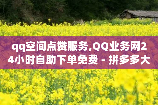 qq空间点赞服务,QQ业务网24小时自助下单免费 - 拼多多大转盘助力软件 - 拼多多钻石兑换卡积分-第1张图片-靖非智能科技传媒