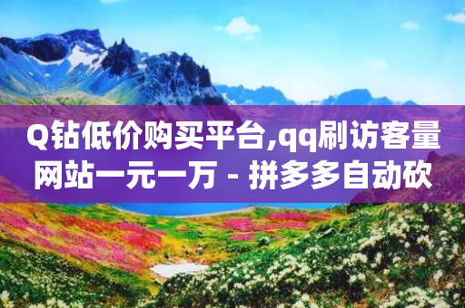 Q钻低价购买平台,qq刷访客量网站一元一万 - 拼多多自动砍刀助力软件 - 拼多多助力的意思