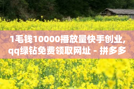 1毛钱10000播放量快手创业,qq绿钻免费领取网址 - 拼多多700元助力需要多少人 - 拼多多刷助力黑科技-第1张图片-靖非智能科技传媒