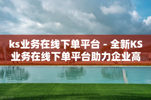 ks业务在线下单平台 - 全新KS业务在线下单平台助力企业高效运营!-第1张图片-靖非智能科技传媒