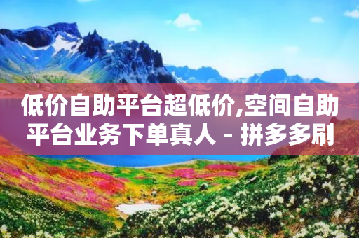 低价自助平台超低价,空间自助平台业务下单真人 - 拼多多刷刀 - 山东滨州拼多多公司地址