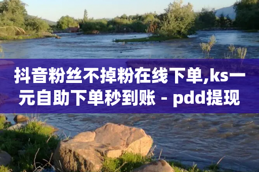 抖音粉丝不掉粉在线下单,ks一元自助下单秒到账 - pdd提现700套路最后一步 - 拼多多成功提现