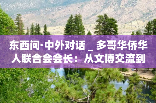 东西问·中外对话 _ 多哥华侨华人联合会会长：从文博交流到绿色发展 中非合作恰逢其时