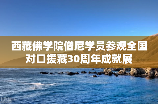 西藏佛学院僧尼学员参观全国对口援藏30周年成就展-第1张图片-靖非智能科技传媒