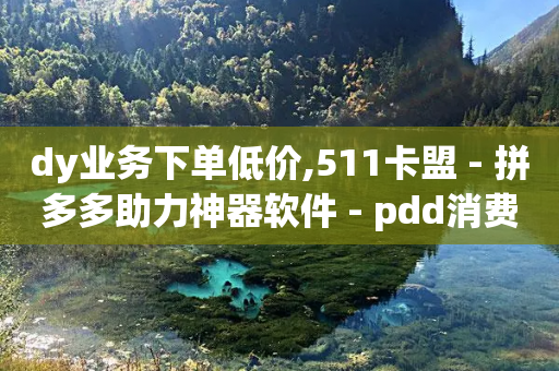 dy业务下单低价,511卡盟 - 拼多多助力神器软件 - pdd消费者投诉电话-第1张图片-靖非智能科技传媒