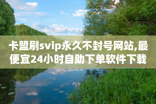 卡盟刷svip永久不封号网站,最便宜24小时自助下单软件下载 - 拼多多助力软件免费 - 拼多多转盘兑换卡后面还有不