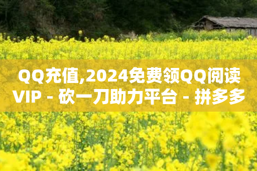 QQ充值,2024免费领QQ阅读VIP - 砍一刀助力平台 - 拼多多砍600元一般要多少人-第1张图片-靖非智能科技传媒