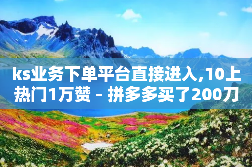 ks业务下单平台直接进入,10上热门1万赞 - 拼多多买了200刀全被吞了 - 拼多多八月八日-第1张图片-靖非智能科技传媒