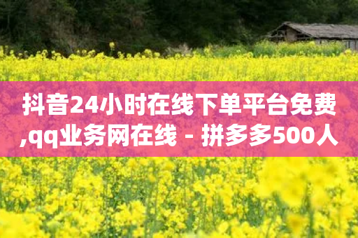 抖音24小时在线下单平台免费,qq业务网在线 - 拼多多500人互助群免费 - 怎么帮别人卖货赚佣金