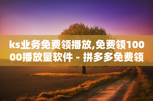 ks业务免费领播放,免费领10000播放量软件 - 拼多多免费领5件助力 - 24小时拼多多助力平台-第1张图片-靖非智能科技传媒