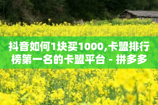 抖音如何1块买1000,卡盟排行榜第一名的卡盟平台 - 拼多多现金助力群免费群 - 拼多多提现又要20个元宝