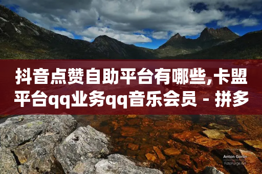 抖音点赞自助平台有哪些,卡盟平台qq业务qq音乐会员 - 拼多多助力600元要多少人 - 拼多多现金大转盘助力网站-第1张图片-靖非智能科技传媒