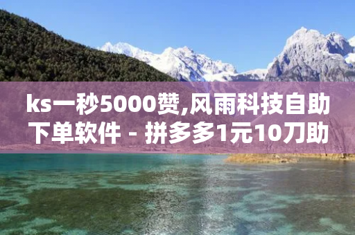 ks一秒5000赞,风雨科技自助下单软件 - 拼多多1元10刀助力平台 - 拼多多匹配讲解视频要钱吗