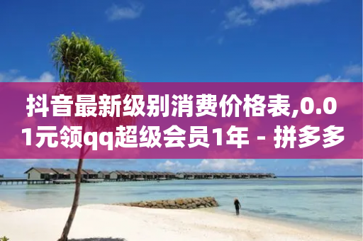 抖音最新级别消费价格表,0.01元领qq超级会员1年 - 拼多多怎么助力成功 - 拼多多怎么买助力-第1张图片-靖非智能科技传媒