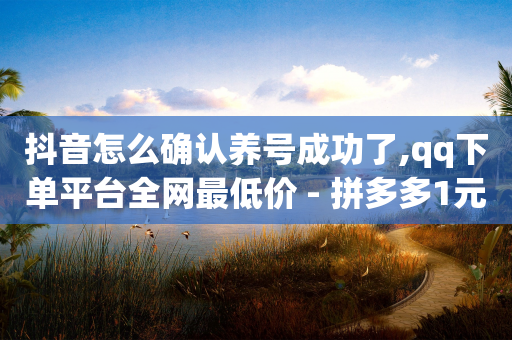 抖音怎么确认养号成功了,qq下单平台全网最低价 - 拼多多1元10刀助力平台 - 拼夕夕积分后面还有吗-第1张图片-靖非智能科技传媒