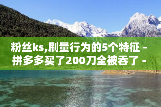 粉丝ks,刷量行为的5个特征 - 拼多多买了200刀全被吞了 - 拼多多助力是真的吗?-第1张图片-靖非智能科技传媒