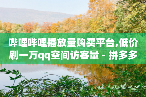 哔哩哔哩播放量购买平台,低价刷一万qq空间访客量 - 拼多多助力网站便宜 - 拼多多自动下单5毛脚本-第1张图片-靖非智能科技传媒