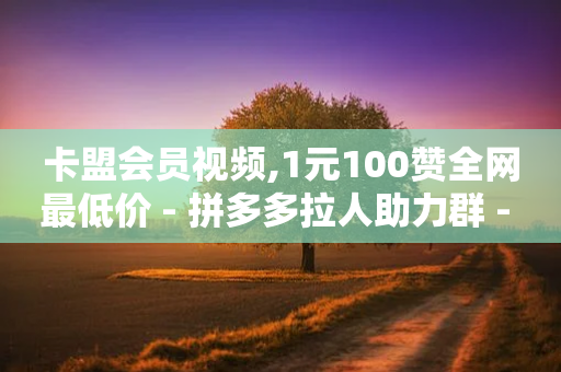 卡盟会员视频,1元100赞全网最低价 - 拼多多拉人助力群 - 全网最低价自助下单软件