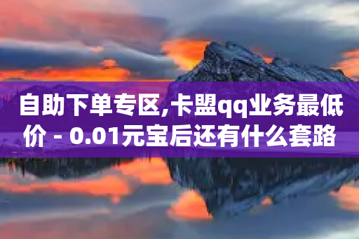 自助下单专区,卡盟qq业务最低价 - 0.01元宝后还有什么套路 - 咸鱼上便宜剃须刀真假