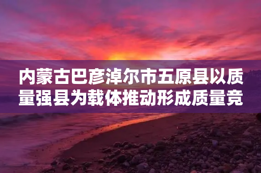 内蒙古巴彦淖尔市五原县以质量强县为载体推动形成质量竞争优势-第1张图片-靖非智能科技传媒