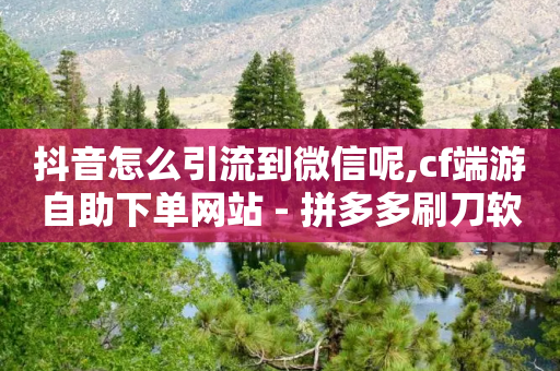 抖音怎么引流到微信呢,cf端游自助下单网站 - 拼多多刷刀软件 - 拼多多如何给自己助力