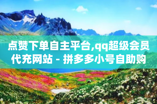 点赞下单自主平台,qq超级会员代充网站 - 拼多多小号自助购买平台 - Pdd节点购买平台