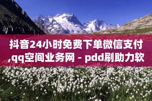 抖音24小时免费下单微信支付,qq空间业务网 - pdd刷助力软件 - 拼多多先用后付误触就下单了