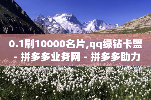 0.1刷10000名片,qq绿钻卡盟 - 拼多多业务网 - 拼多多助力网站新用户-第1张图片-靖非智能科技传媒