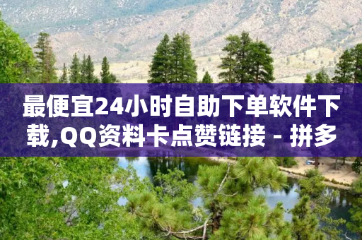 最便宜24小时自助下单软件下载,QQ资料卡点赞链接 - 拼多多业务助力平台 - 拼多多提钱怎么让好友助力-第1张图片-靖非智能科技传媒