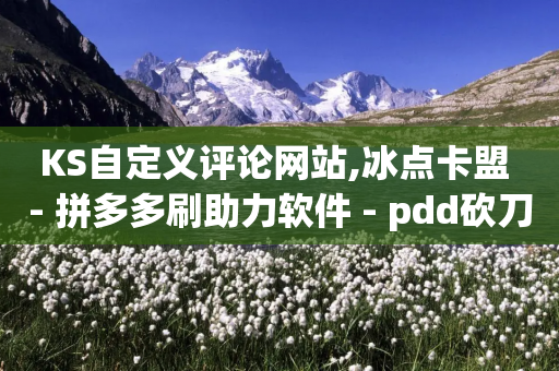 KS自定义评论网站,冰点卡盟 - 拼多多刷助力软件 - pdd砍刀助力套路-第1张图片-靖非智能科技传媒