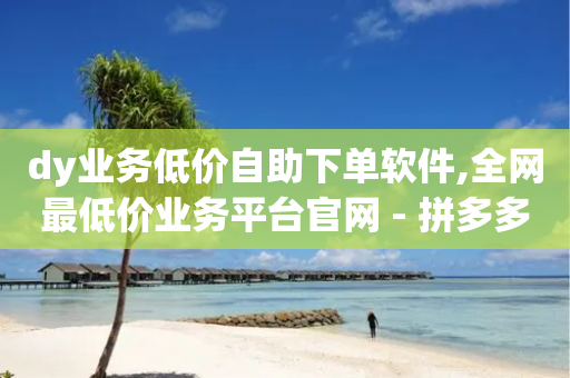 dy业务低价自助下单软件,全网最低价业务平台官网 - 拼多多助力平台网站 - 拼多多流量怎么做起来-第1张图片-靖非智能科技传媒