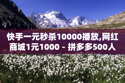 快手一元秒杀10000播放,网红商城1元1000 - 拼多多500人互助群免费 - 拼多多诈骗图片文案-第1张图片-靖非智能科技传媒