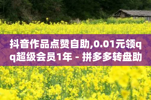 抖音作品点赞自助,0.01元领qq超级会员1年 - 拼多多转盘助力 - 史密斯威森M317-第1张图片-靖非智能科技传媒