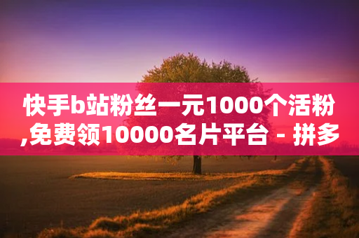 快手b站粉丝一元1000个活粉,免费领10000名片平台 - 拼多多砍价群免费进 - 砍价软件免费版-第1张图片-靖非智能科技传媒