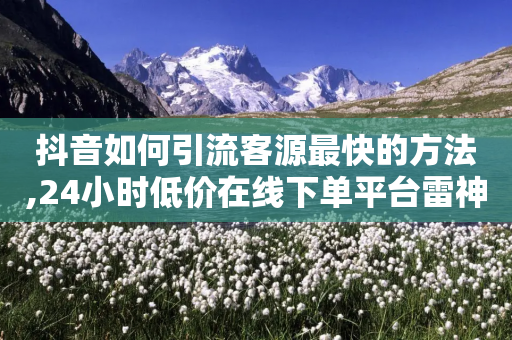 抖音如何引流客源最快的方法,24小时低价在线下单平台雷神 - 拼多多低价助力 - 拼多多全站没有询单选项