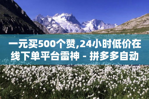 一元买500个赞,24小时低价在线下单平台雷神 - 拼多多自动下单5毛脚本下载 - 微博买拼多多刀是真的吗