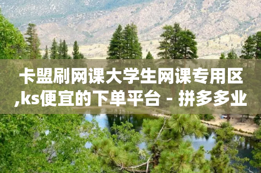 卡盟刷网课大学生网课专用区,ks便宜的下单平台 - 拼多多业务自助平台 - 拼多多砍价免费拿qq群