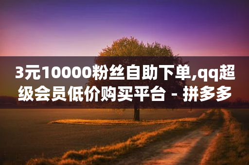 3元10000粉丝自助下单,qq超级会员低价购买平台 - 拼多多现金大转盘刷助力网站 - 拼多多转盘5积分需要多少人-第1张图片-靖非智能科技传媒