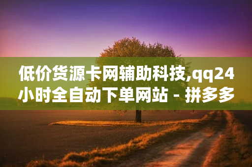 低价货源卡网辅助科技,qq24小时全自动下单网站 - 拼多多自动助力脚本 - 拼多多700最后一步是什么