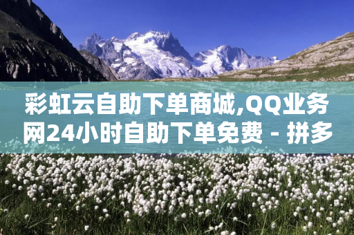 彩虹云自助下单商城,QQ业务网24小时自助下单免费 - 拼多多转盘助力 - 标砍砍APP