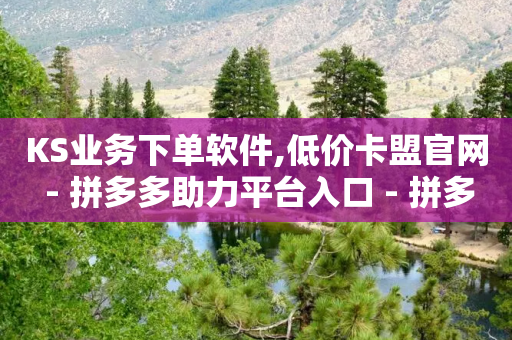 KS业务下单软件,低价卡盟官网 - 拼多多助力平台入口 - 拼多多检测到有偿助力-第1张图片-靖非智能科技传媒