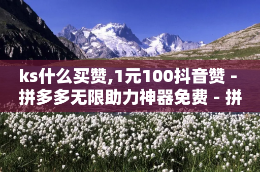 ks什么买赞,1元100抖音赞 - 拼多多无限助力神器免费 - 拼多多人工打不进去怎么办-第1张图片-靖非智能科技传媒